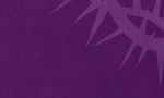 nm7.jpg (13860 bytes)