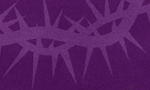 nm8.jpg (15633 bytes)